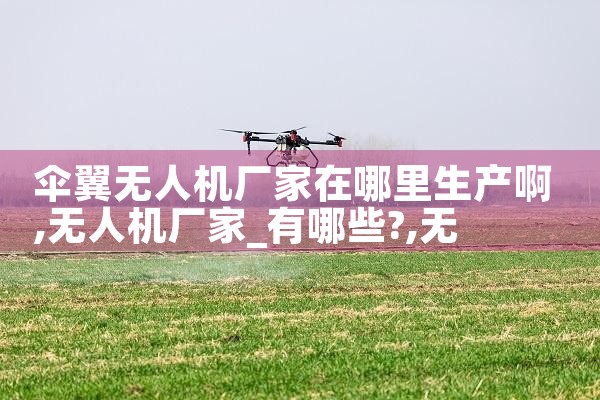 ɡ˻|˻UAV