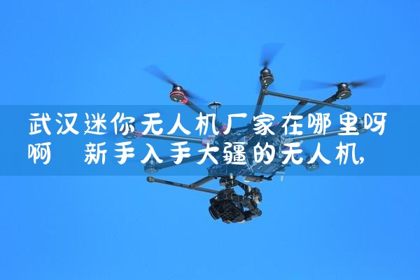 人˻ѽ|˻UAV