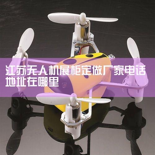 Żվ_ٿ2025ũ_ǻƼ޹˾ - _Enterprise Dealer - Where_ɿDJI Fly_˻UAV