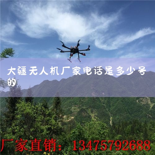 д˻Ӧ޹˾ϵʽ-Ѱͱ__èͶ__ҵ|߽ ع_ϵ - DJI ũҵ_DJI 󽮴 - _˻UAV