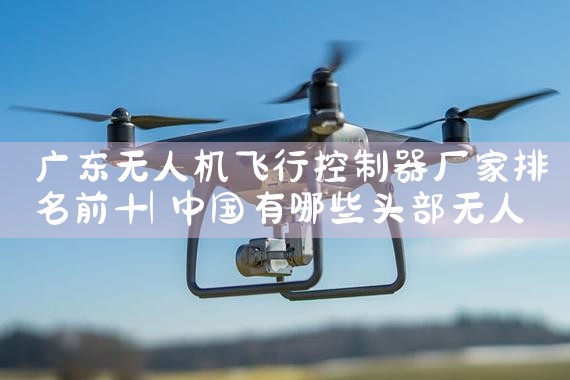 㶫˻пǰʮ|˻UAV