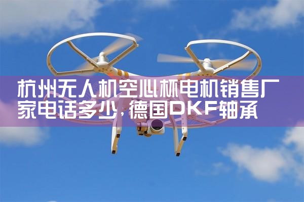 С˻|˻UAV